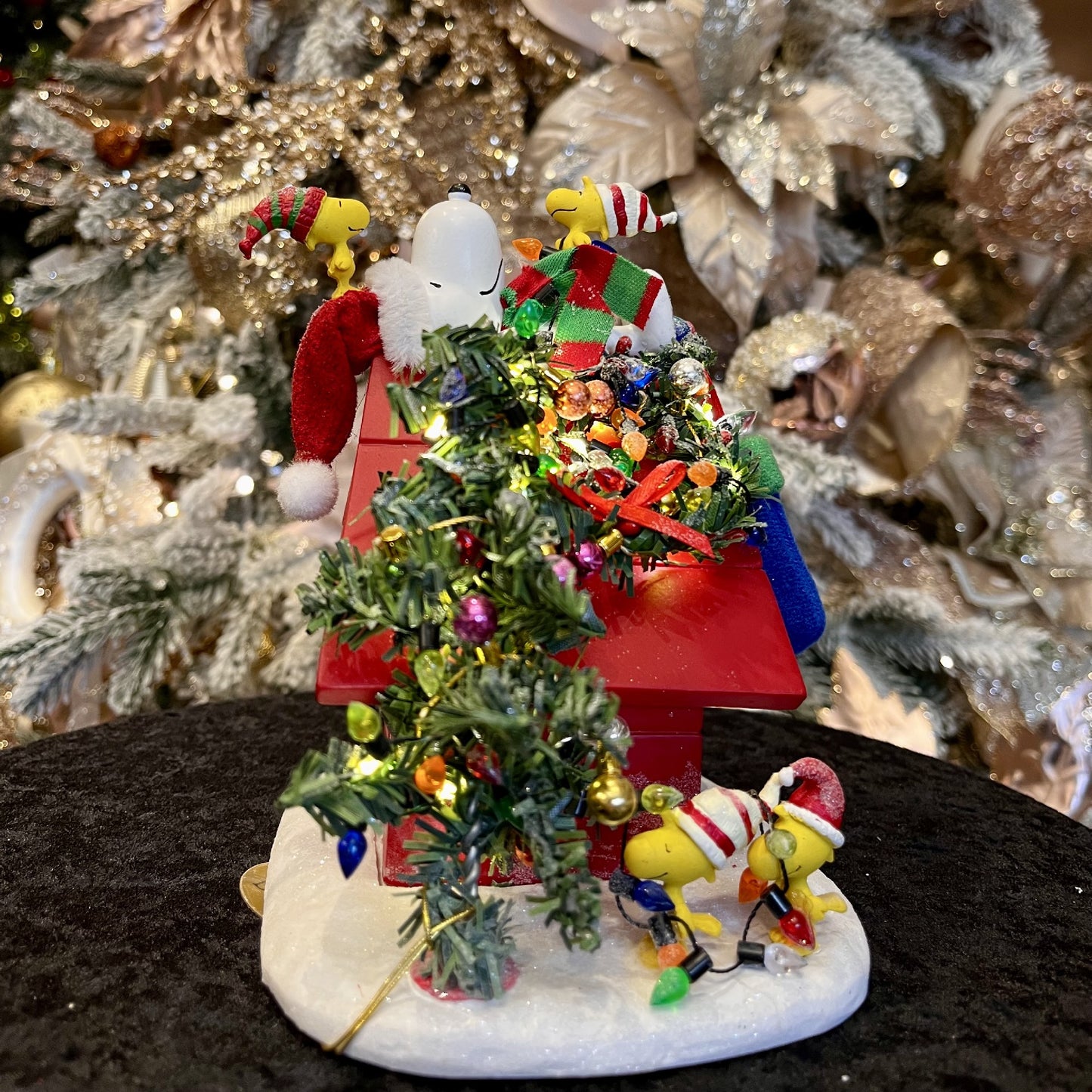 POSSIBLE DREAMS - PEANUTS SOMETHING EXTRA LIT 6012195