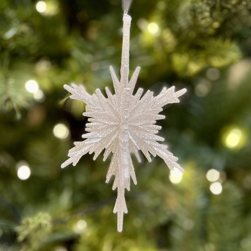SILVER SNOWFLAKE 3D HANGING ORNAMENT 4319056