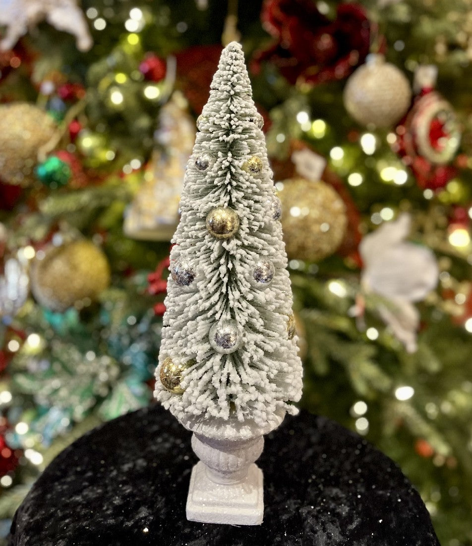 SNOWY BRISTLEBRUSH LARGE TREE IN URN 4215503