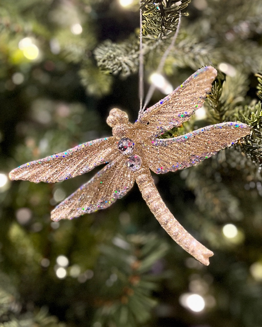 ACRYLIC DRAGONFLY CHAMPAGNE ORNAMENT XASSDB2