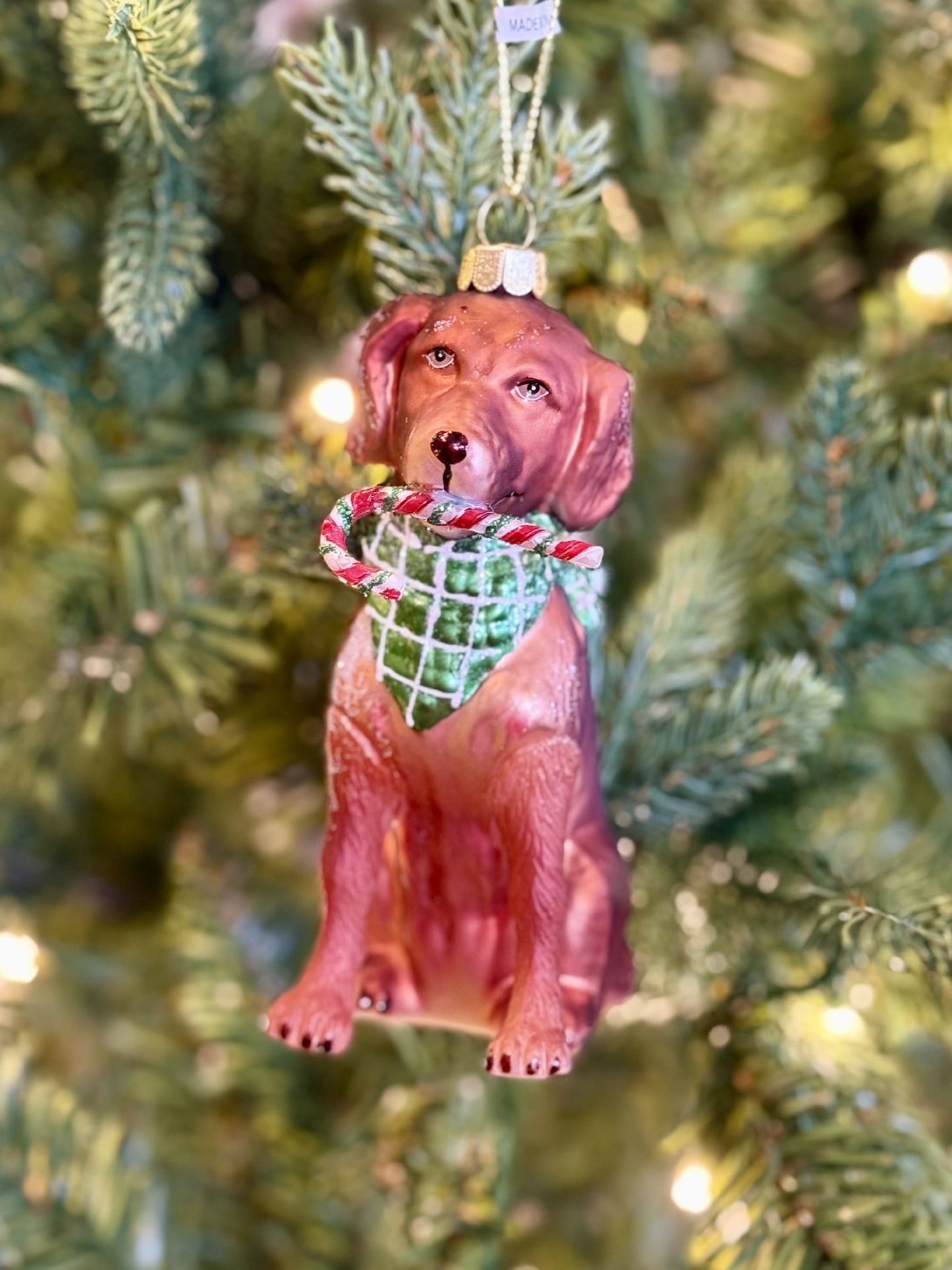 Chocolate Lab Glass Ornament 4553158