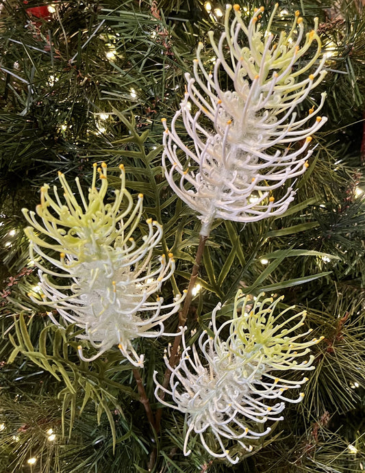 CREAM GREVILLEA SPRAY 6964CR