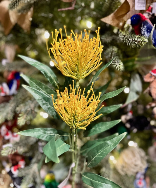 YELLOW GREVILLEA SPRAY 7027YE