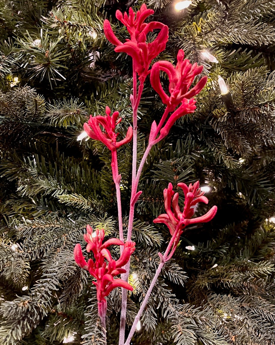75CM RED KANGAROO PAW SPRAY 7191RD