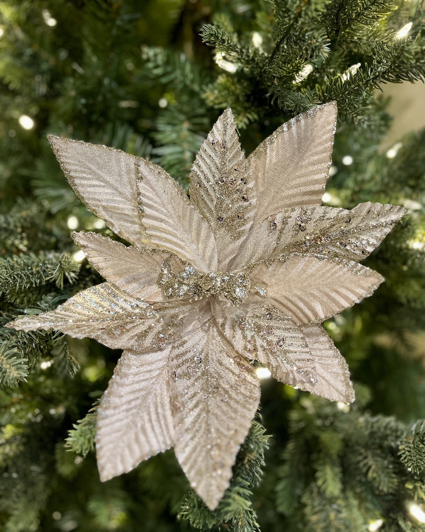 CLIP ON POINSETTIA CHAMPAGNE GLITTER XDPRSCD