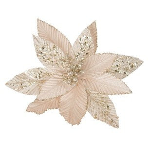 CLIP ON POINSETTIA CHAMPAGNE GLITTER XDPRSCD