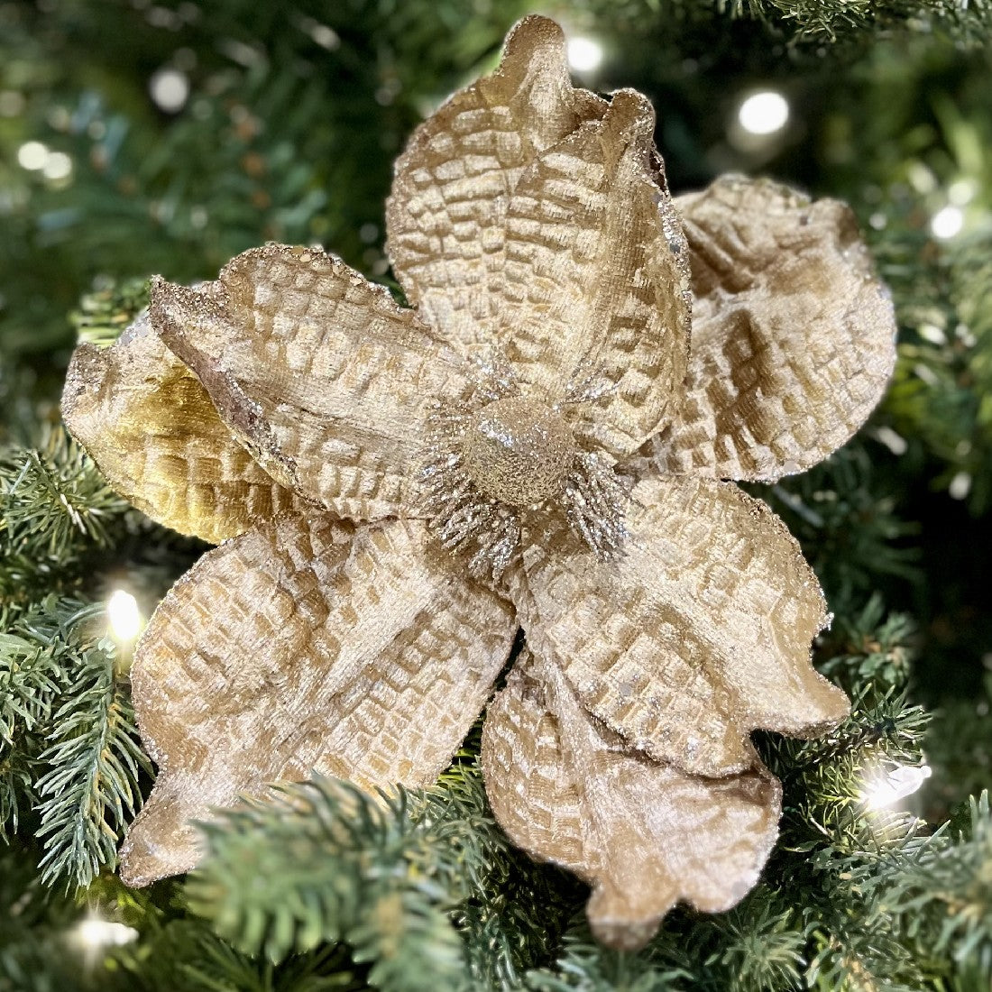 CLIP ON MAGNOLIA MATTE MUSTARD XDPRWOF