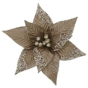 CLIP ON POINSETTIA TAN GLITTER PETALS XDGYWTC