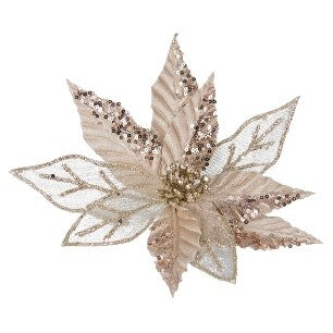 CLIP ON POINSETTIA CHAMPAGNE SHEER ENCRUSTED XDPSSCW