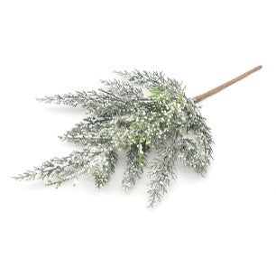 GREEN CEDAR SPRAY XDDGCSP