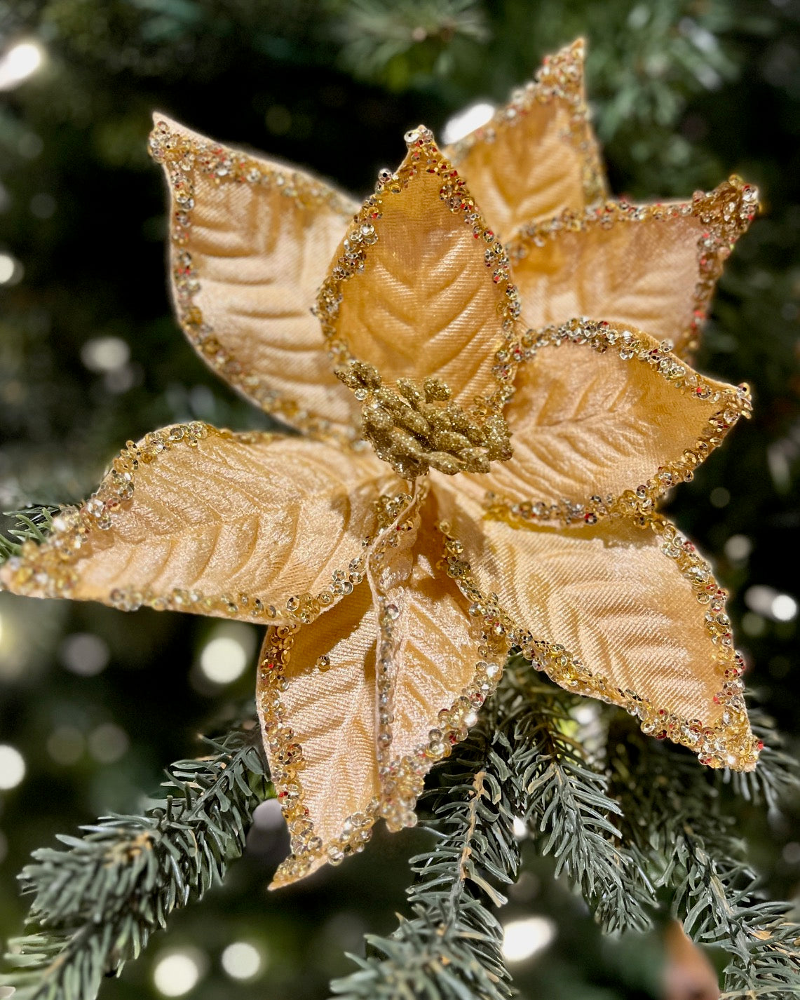 CLIP ON FABRIC POINSETTIA GOLD GLITTER EDGE XDGZSAV