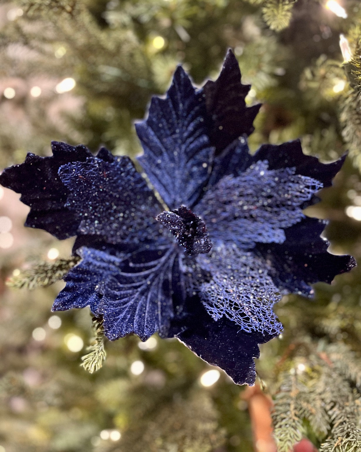 CLIP ON FABRIC POINSETTIA NAVY XDPBLCP