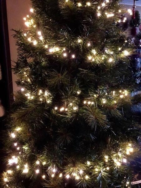 LUSTRE LIGHTS 10 METRE LED LIGHTS - GREEN WIRE