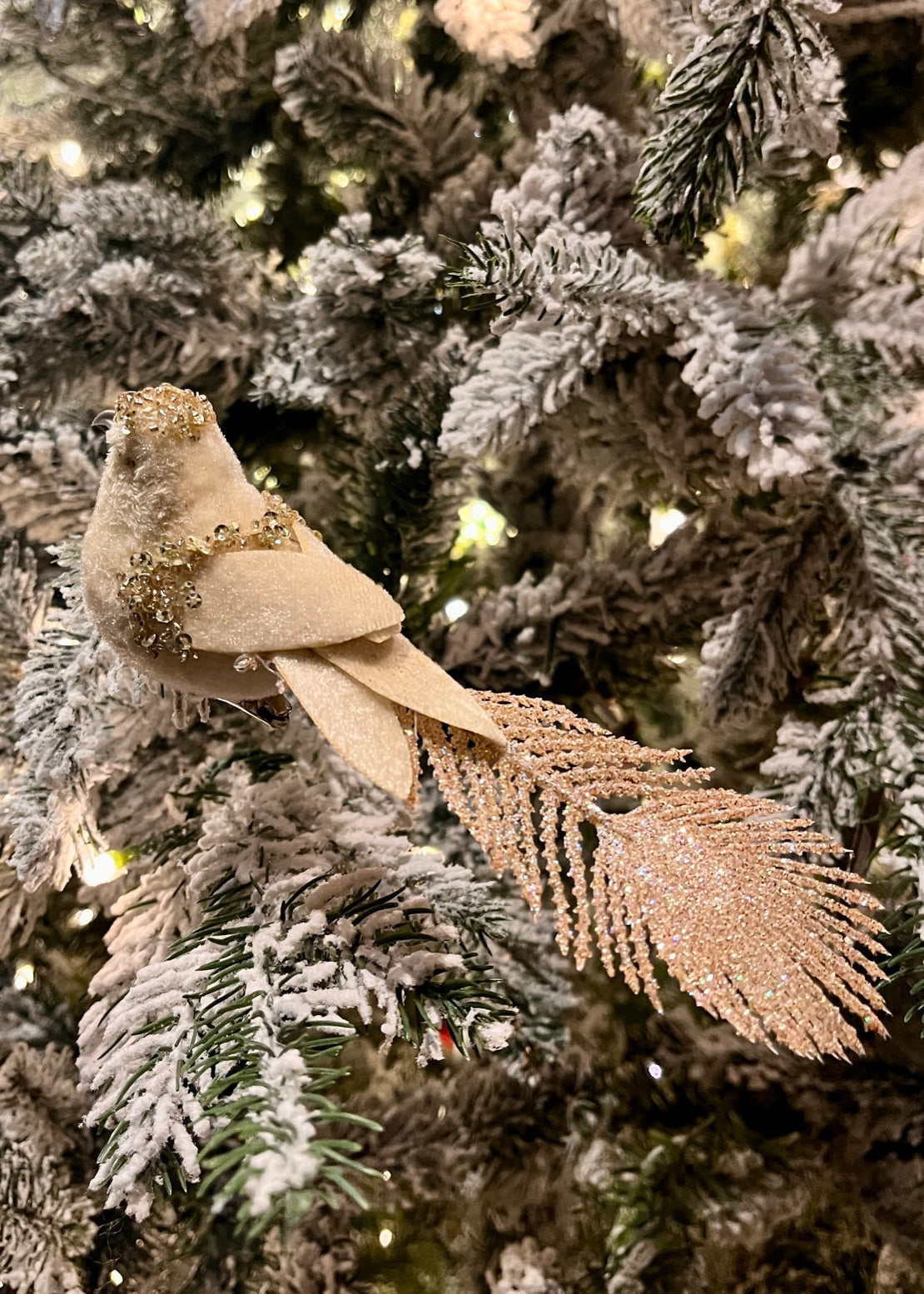 18CM CHAMPAGNE BIRD CLIP ON X442272