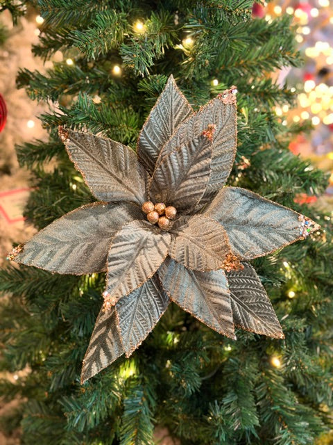 SAGE VELVET POINSETTIA X479650