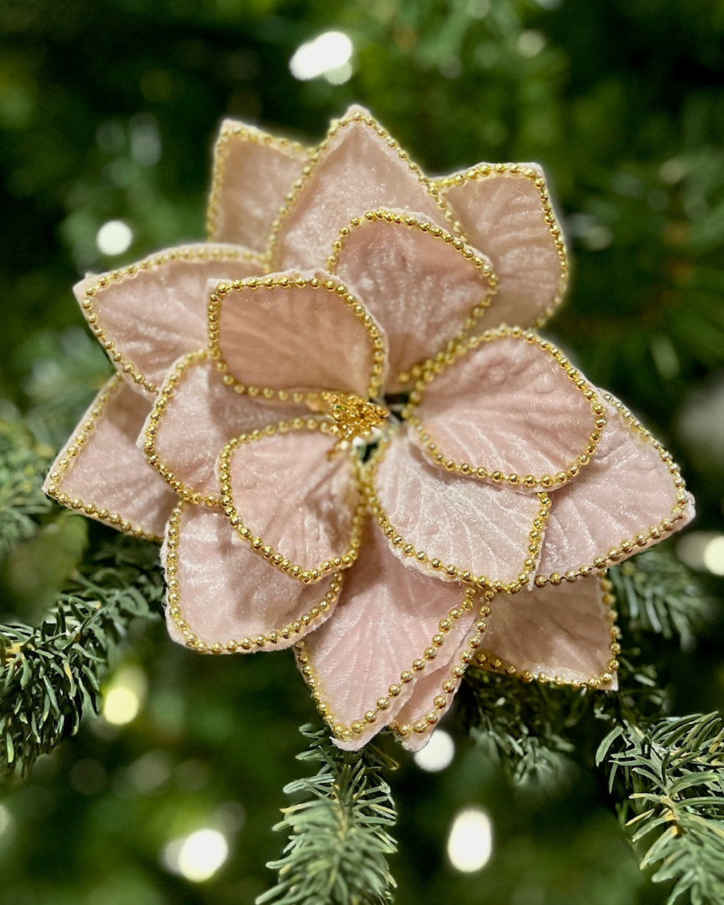 PINK BEADED EDGE POINSETTIA 42995103PNK