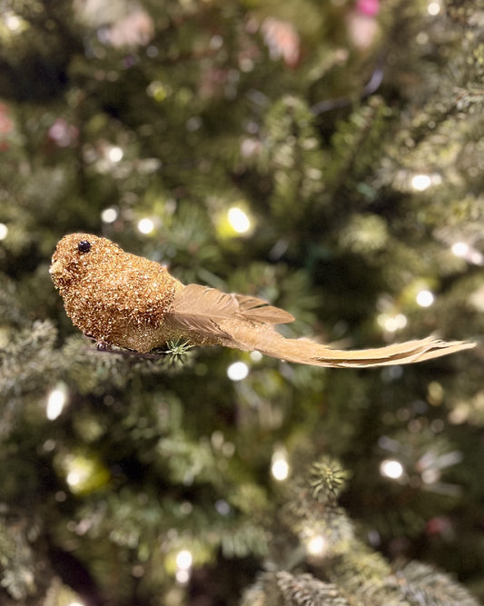 ELABORATE GOLD CLIP ON BIRD DCY015