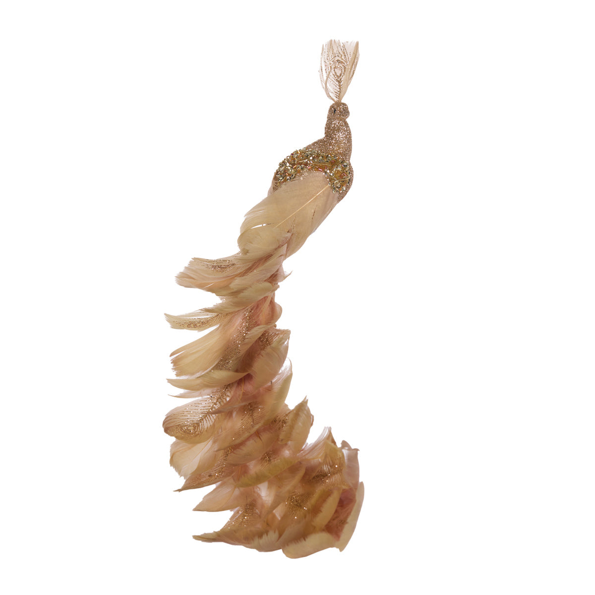 CHAMPAGNE GOLD CURVED TAILED PEACOCK CLIP ON EXS058