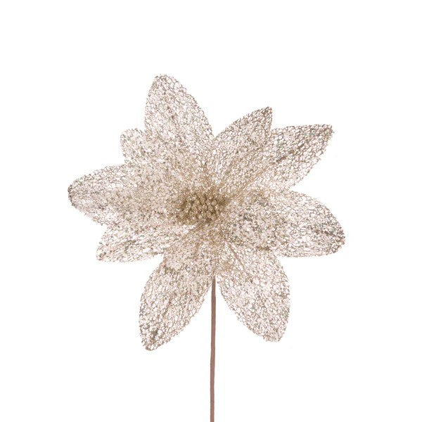 SHEER CHAMPAGNE GLITTERED POINSETTIA ECJ037