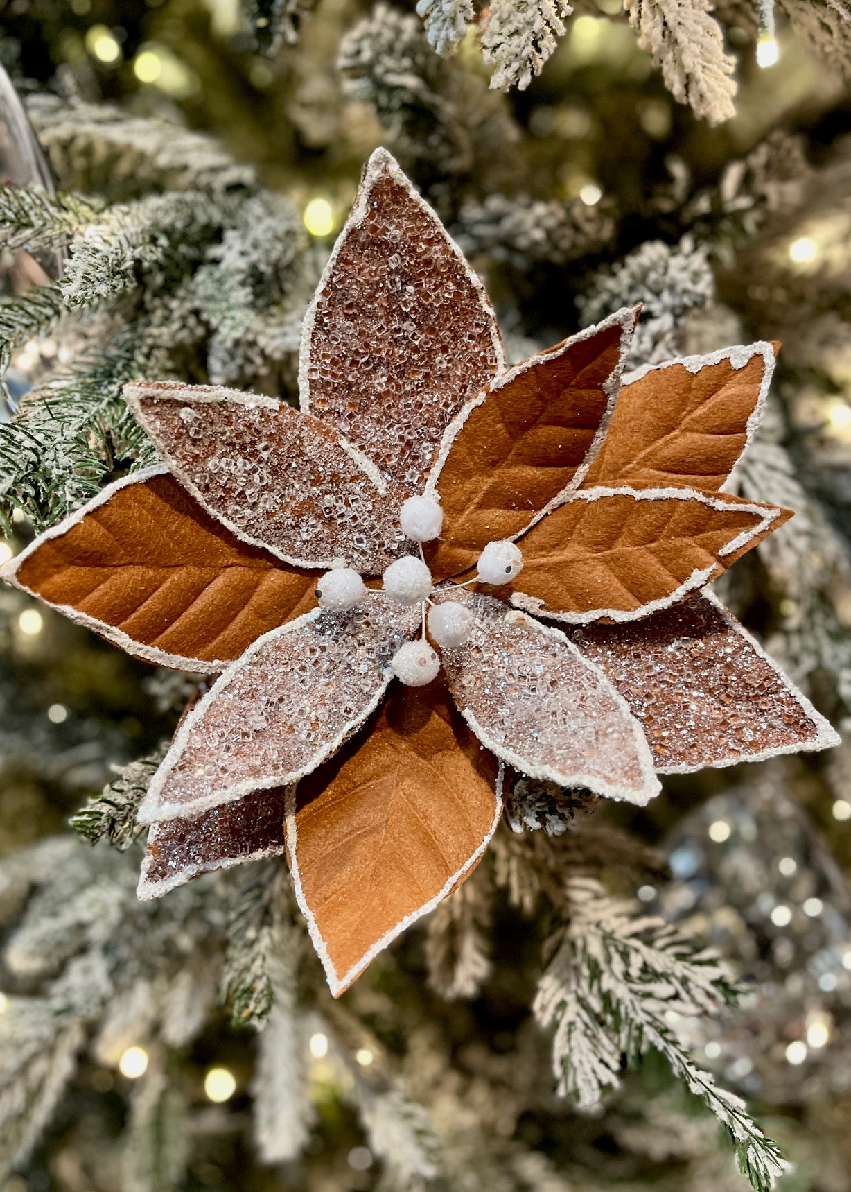 GINGERBREAD POINSETTIA ECJ083