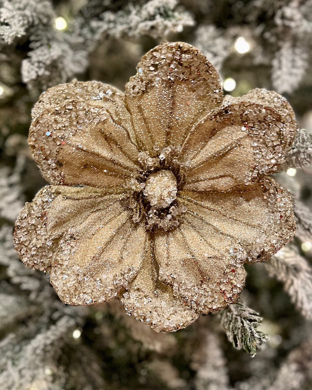 CHAMPAGNE CRUSTED MAGNOLIA RXD366