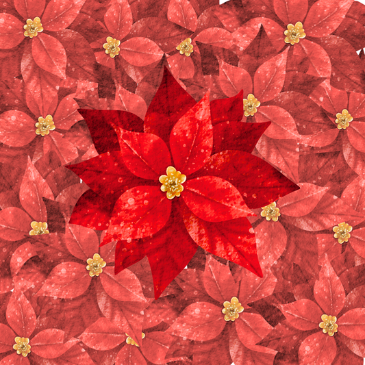 The Legend of the Poinsettia