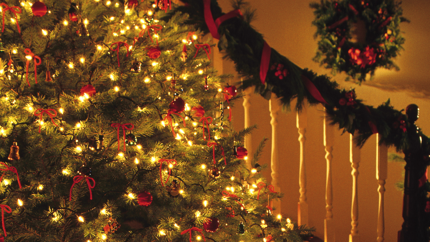 CHRISTMAS TREES, GARLANDS & SWAGS