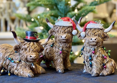 CHRISTMAS HIGHLAND COWS