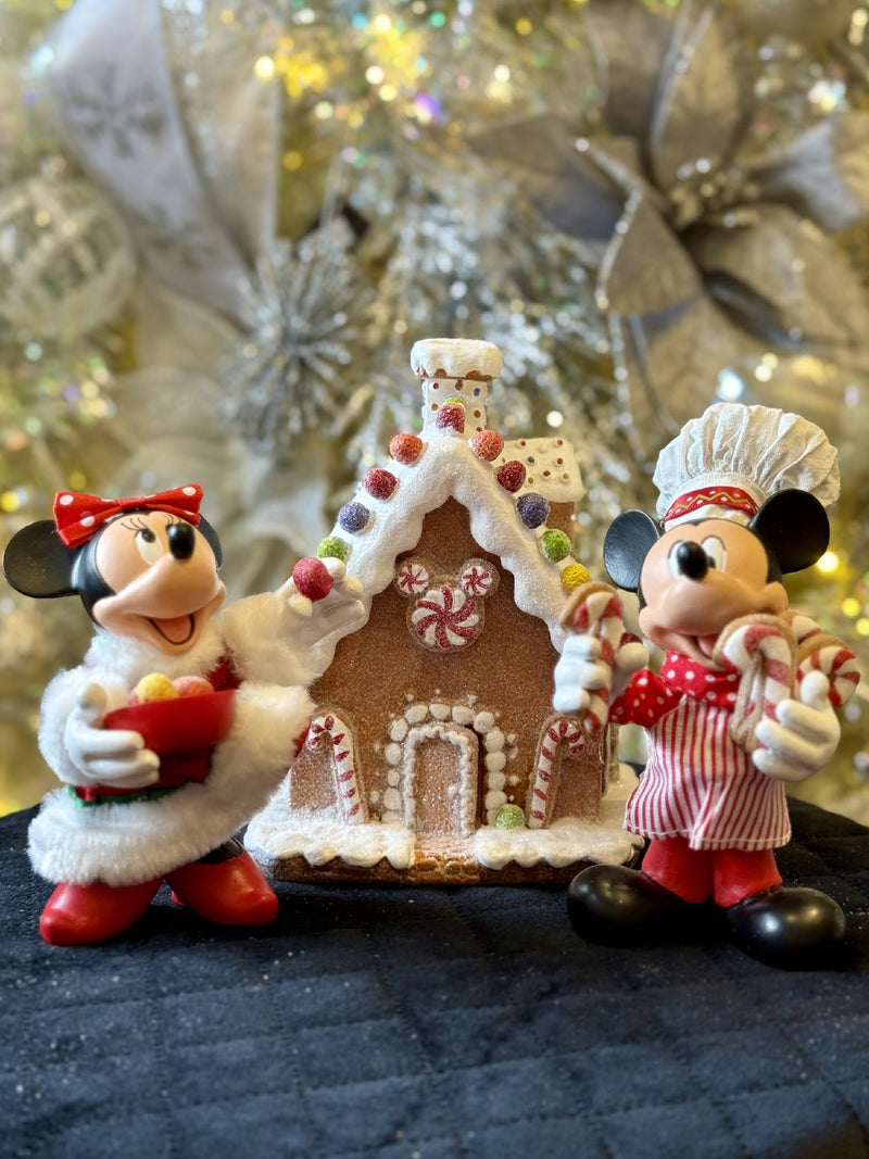 POSSIBLE DREAMS - MINNIE & MICKEY&