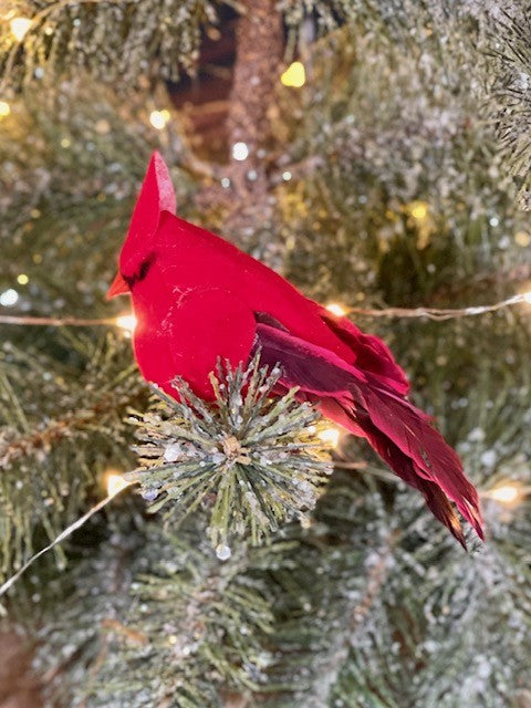 CARDINAL CLIP ON BIRD 2.75 INCH 4053316