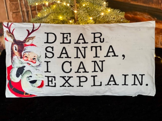 DEAR SANTA I CAN EXPLAIN PILLOW 4115983