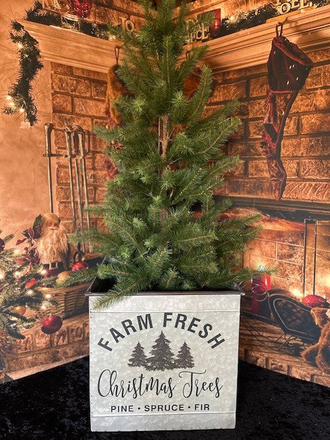 FARM FRESH CHRISTMAS TREES SQUARE TIN BUCKET SMALL