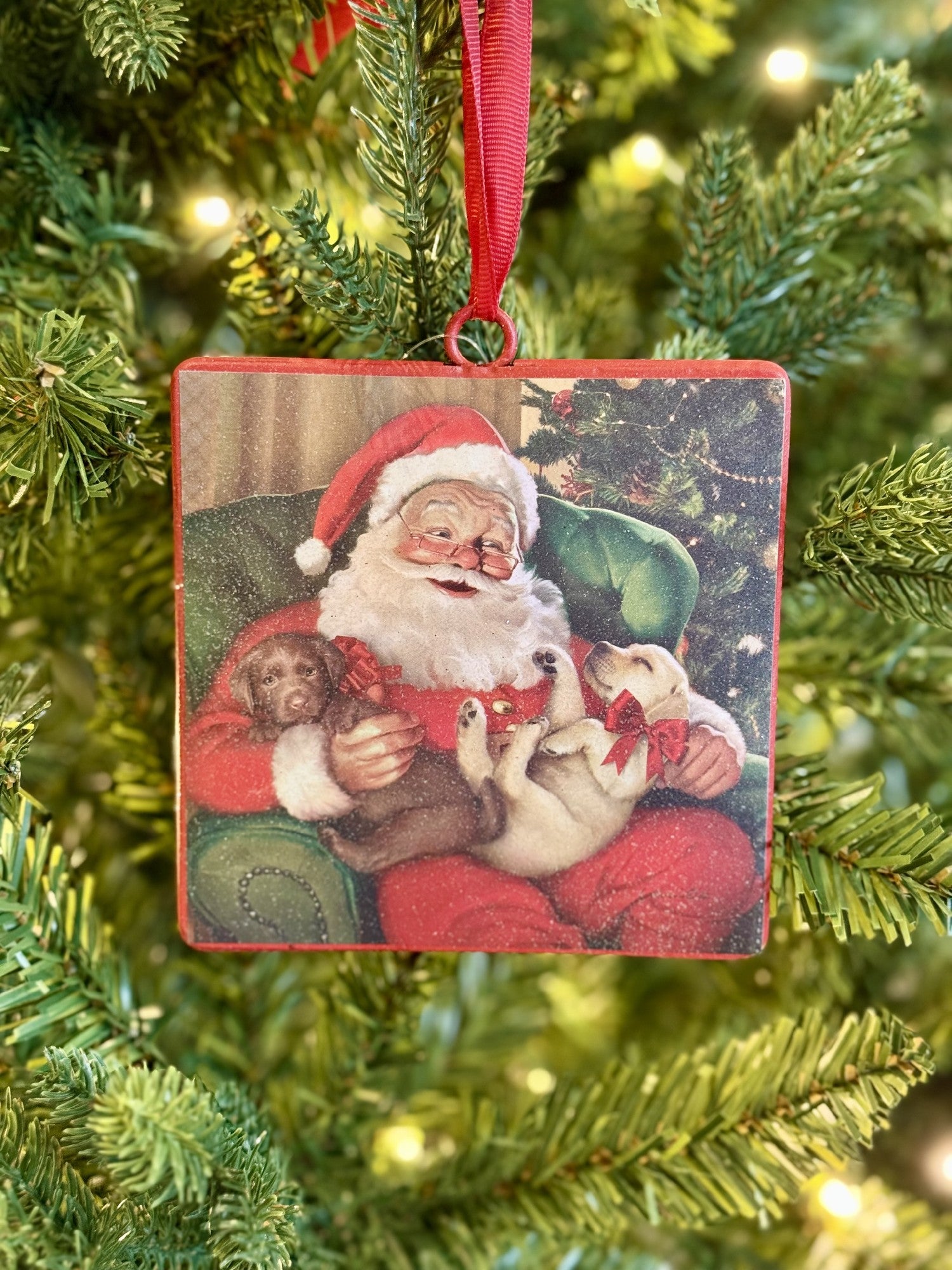 Santa w Puppies Ornament 4536582