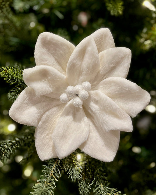 WHITE POINSETTIA FLOWER F4406701