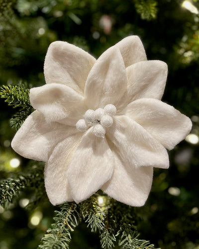 WHITE POINSETTIA FLOWER F4406701