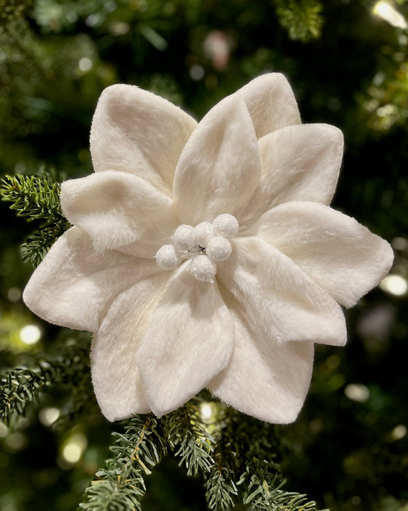 WHITE POINSETTIA FLOWER F4406701