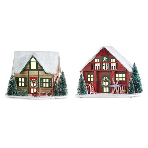 NATURAL LIGHTED SKI LODGE 4319181