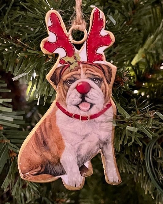 CHRISTMAS BULL DOG WITH HAT & ANTLERS ORNAMENT UC554158