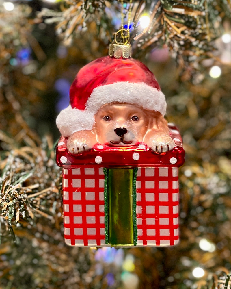 PUPPY IN GIFT WITH HAT GLASS HANGING ORNAMENT 4452870