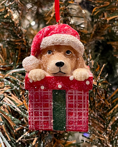 PUPPY IN GIFT WITH HAT HANGING ORNAMENT 4407005