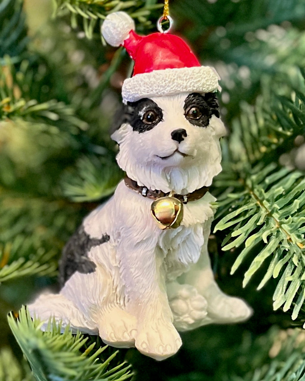 BORDER COLLIE PUPPY WITH HAT ORNAMENT XKN46