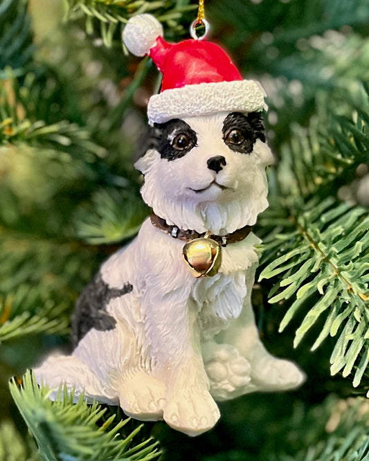 BORDER COLLIE PUPPY WITH HAT ORNAMENT XKN46