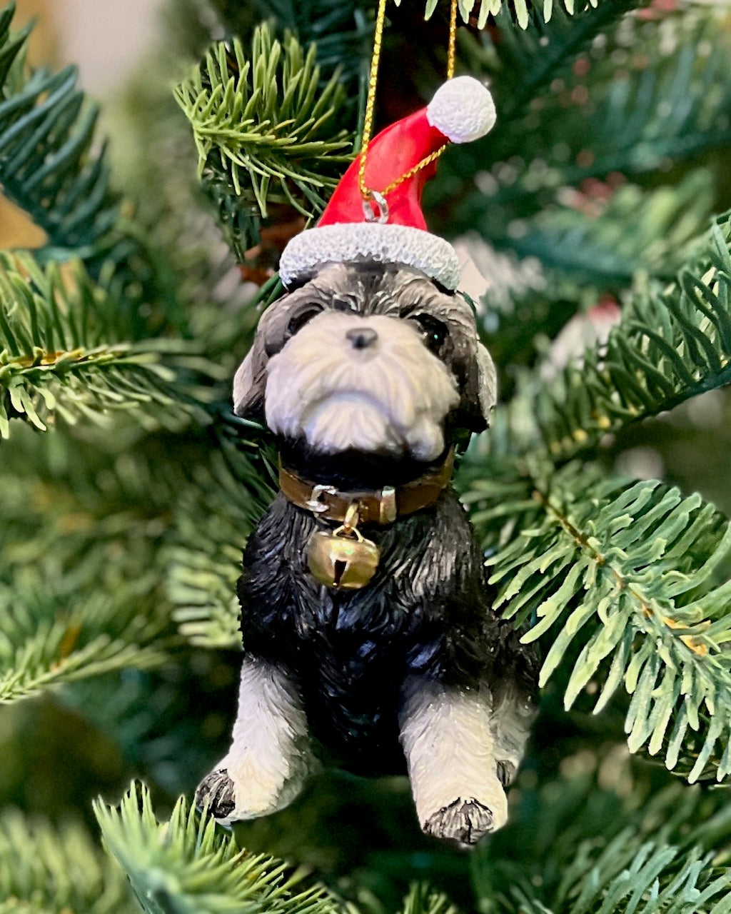 SCHNAUZER PUPPY WITH HAT ORNAMENT XKN46