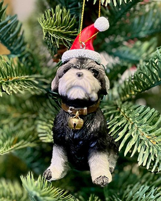 SCHNAUZER PUPPY WITH HAT ORNAMENT XKN46