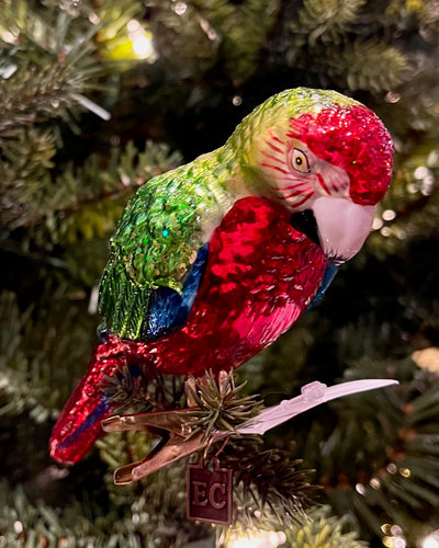 ERIC CORTINA MACAW PARROT 6 INCH GLASS ORNAMENT 4553123