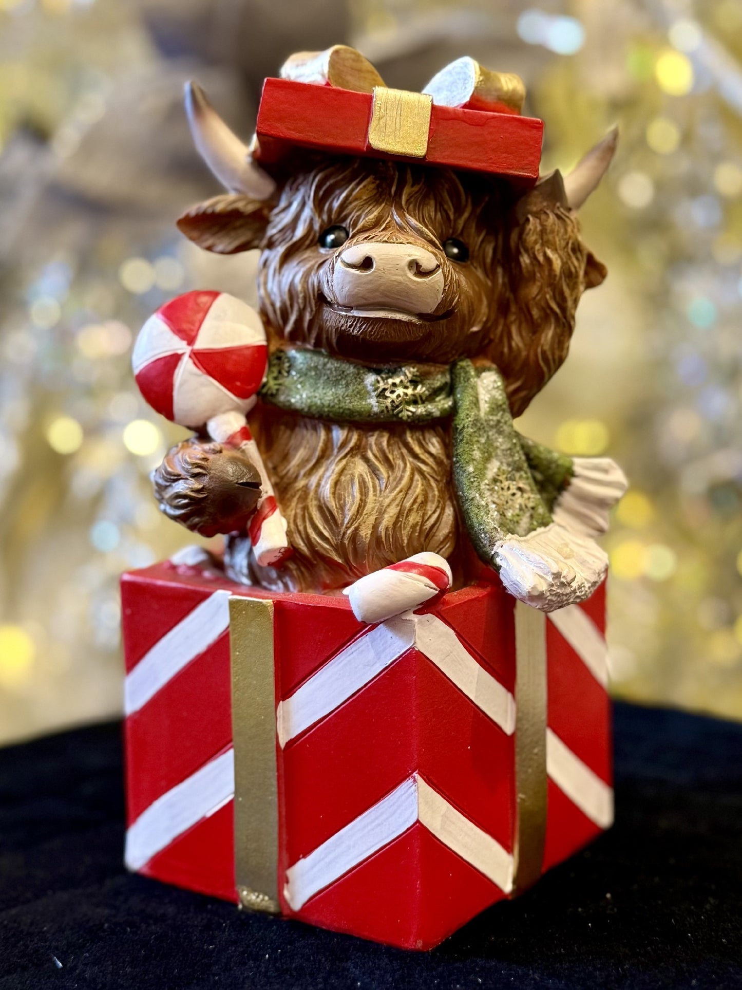 HIGHLAND COW IN RED GIFT BOX XM836