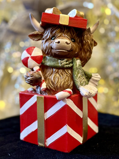 HIGHLAND COW IN RED GIFT BOX XM836