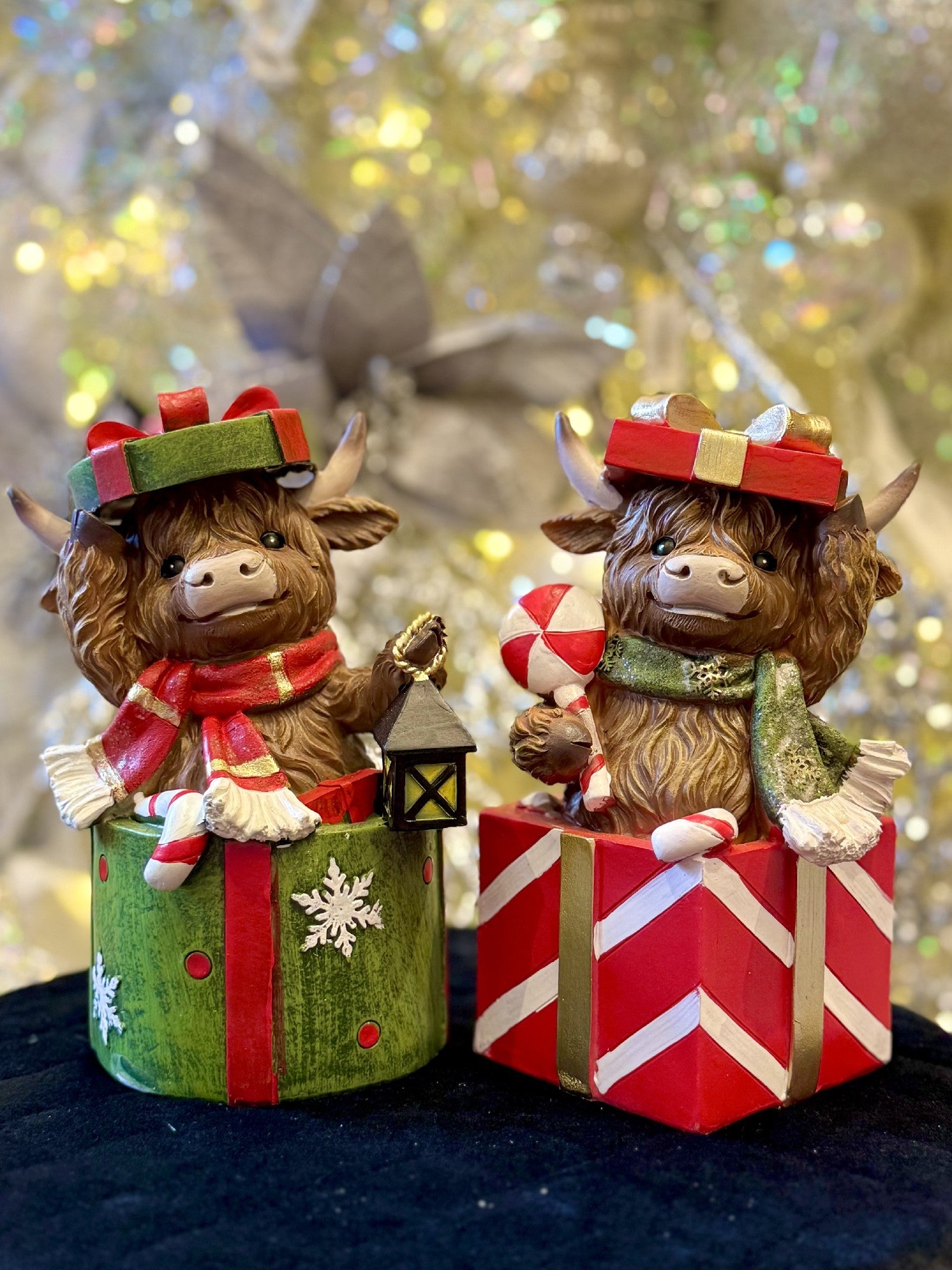HIGHLAND COW IN RED GIFT BOX XM836