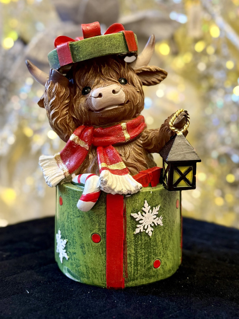 HIGHLAND COW IN GREEN GIFT BOX XM836