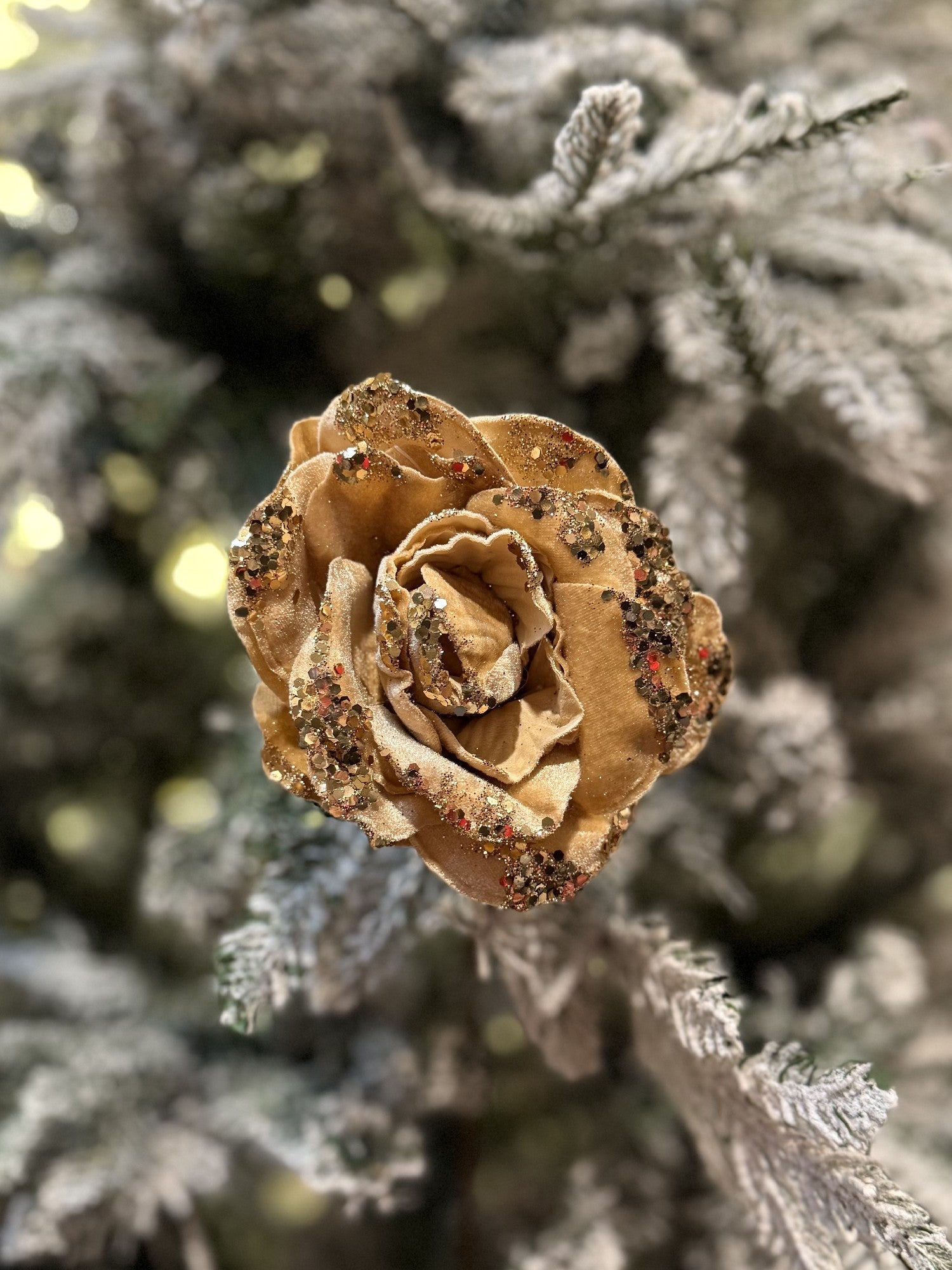 CHAMPAGNE ROSE STEM X420676